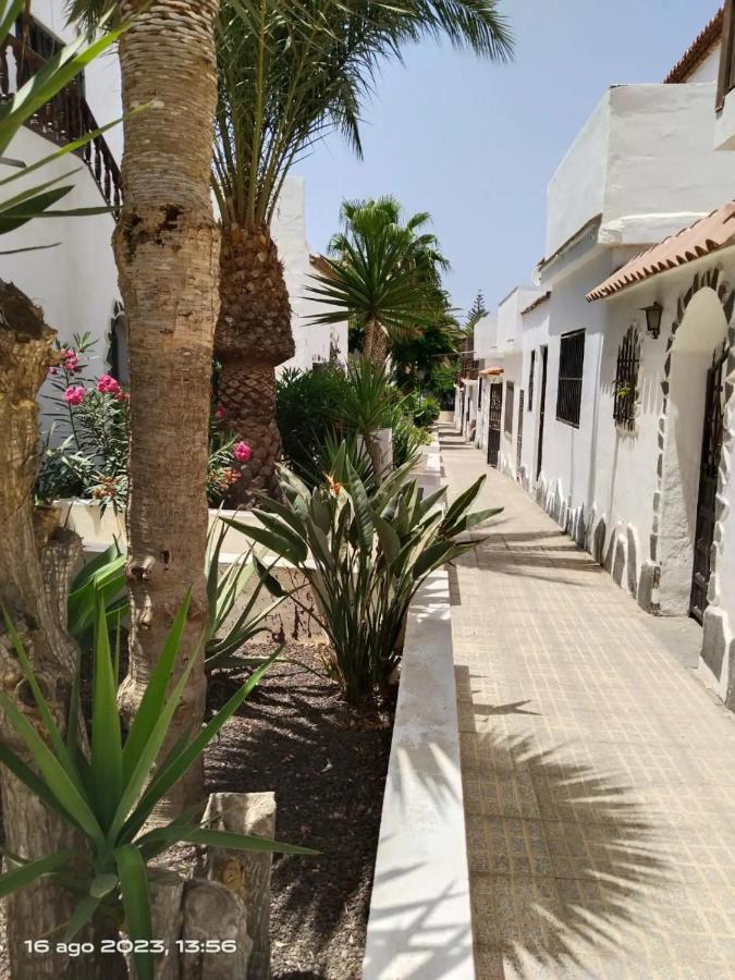 Casa vacanze 2 Splendida In Tenerife Del Sur Casa Trilly